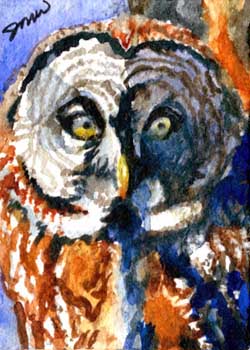 "Watching You Watching Me No. 3" by Jan Wood Muskego WI - Watercolor